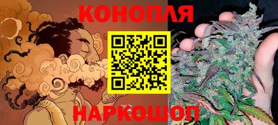дурь Шелехов