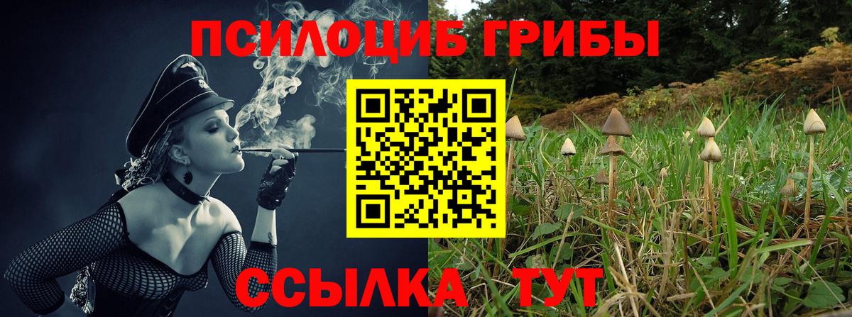Псилоцибиновые грибы MAGIC MUSHROOMS Полевской