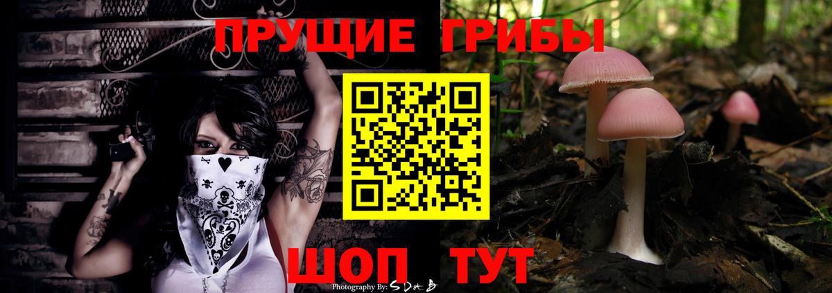 Галлюциногенные грибы Cubensis  Галлюциногенные грибы Psilocybine cubensis  Полевской  Вход с VPN 